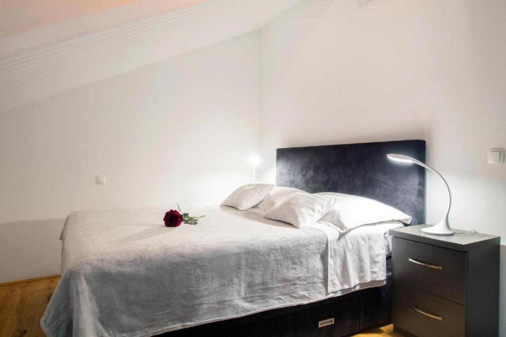 פודסטראנה Bed & Breakfast Pino מראה חיצוני תמונה
